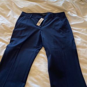 Theory navy pants. New with tags . Size 6